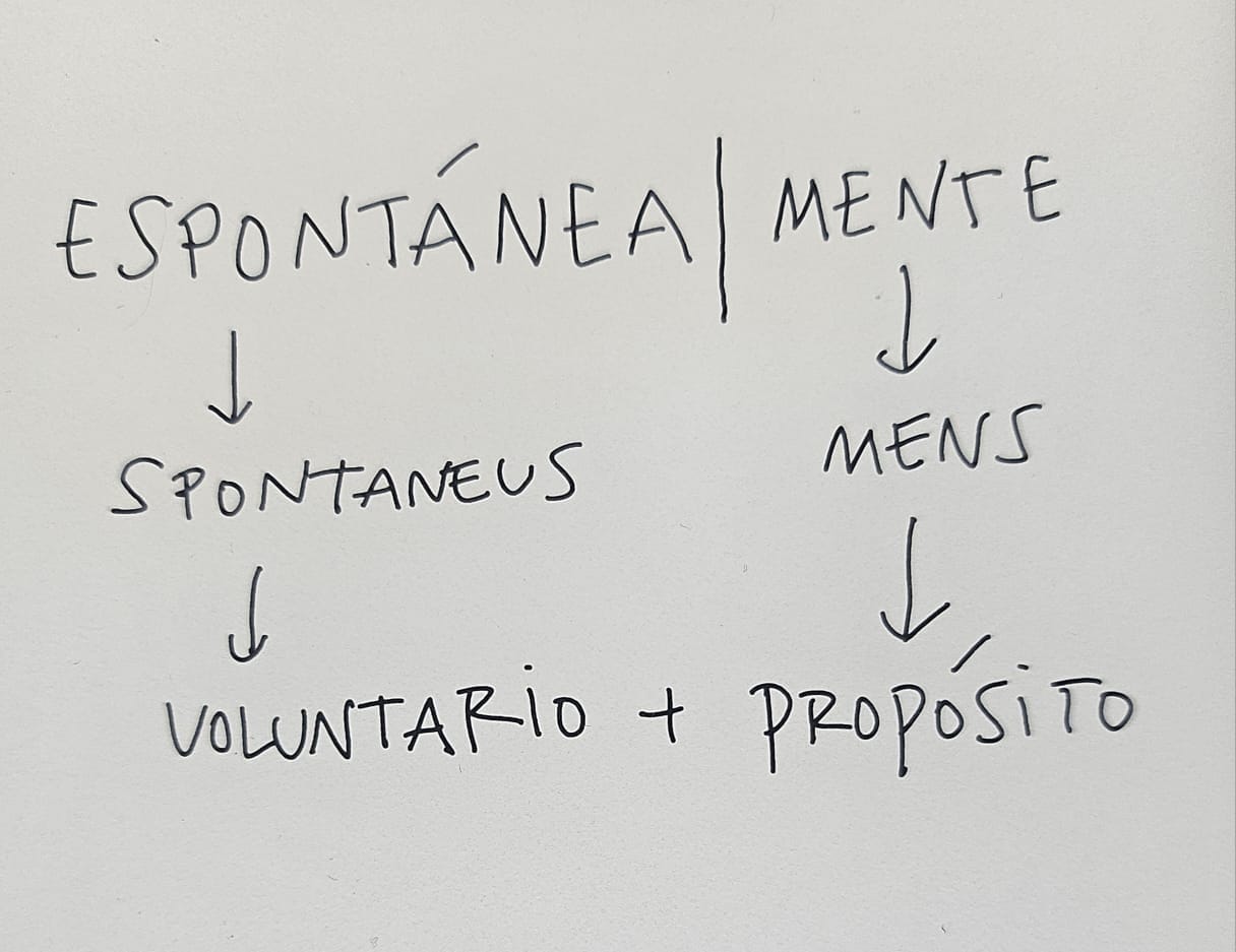 Etimología de la palabra espontánea|mente